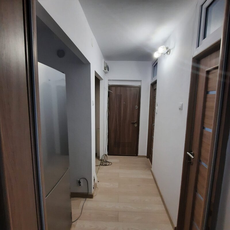 Obor, Colentina, Teiul Doamnei langa Sectia 7 Politie